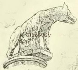 ANIMAL_0125